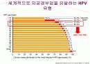 자궁경부암 교육자료 49페이지