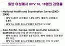 자궁경부암 교육자료 53페이지