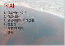 적조 현상 피피티 발표 2페이지