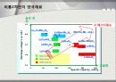 리튬이차전지에 대해 10페이지