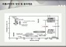 리튬이차전지에 대해 13페이지