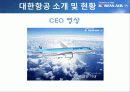 대한항공 웹사이트 분석 5페이지