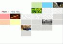 판교 신도시 3페이지