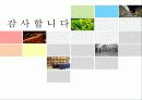 판교 신도시 27페이지