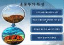 가장 가보고싶은 여행지 프리젠테이션 발표자료 6페이지