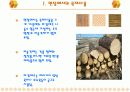 목재의 종류(실내건축 현장) 3페이지