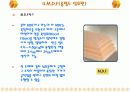 목재의 종류(실내건축 현장) 9페이지