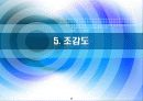 세종 특별 자치시 46페이지