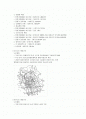 수도권 광역 교통망 계획(2001~2020) 2페이지