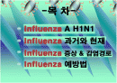 신종플루(H1N1) 2페이지