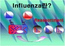 신종플루(H1N1) 3페이지