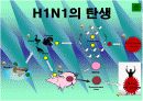 신종플루(H1N1) 4페이지