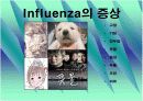 신종플루(H1N1) 7페이지