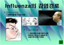 신종플루(H1N1) 8페이지
