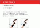 [현대인과영양A+] 다이어트의 개념과 다이어트 방법소개 및 효과와 부작용 분석  22페이지