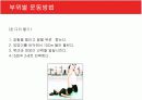 [현대인과영양A+] 다이어트의 개념과 다이어트 방법소개 및 효과와 부작용 분석  34페이지
