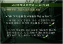 공무원시험,공기업입사 관련 대학생의 고시열풍의 원인과 그 해결방안 18페이지