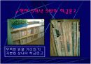 [교육학A+]초등학생 대상 초등교육 독서지도(독서교육) 사례발표 8페이지