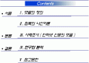 [대중문화와매스컴미디어] 인터넷 댓글문화와 침묵의 나선이론을 통한 댓글문화의 특성분석 2페이지