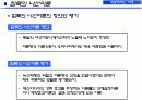 [대중문화와매스컴미디어] 인터넷 댓글문화와 침묵의 나선이론을 통한 댓글문화의 특성분석 12페이지