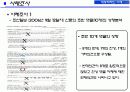[대중문화와매스컴미디어] 인터넷 댓글문화와 침묵의 나선이론을 통한 댓글문화의 특성분석 22페이지