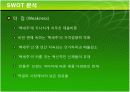 국순당생막걸리 마케팅 분석 18페이지
