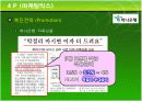국순당생막걸리 마케팅 분석 40페이지