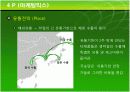 국순당생막걸리 마케팅 분석 42페이지