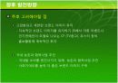국순당생막걸리 마케팅 분석 47페이지
