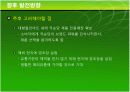 국순당생막걸리 마케팅 분석 48페이지