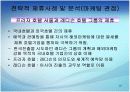 [전략적제휴A+] 전략적제휴 유형과 마케팅적 관점으로 접근하는 전략적 제휴사례 및 실패요인,성공전략 분석 30페이지