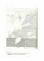 동물분류학-Observation of Mollusca(연체동물) 4페이지