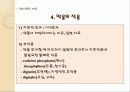 약물 투여법, 약물 투여방법 14페이지