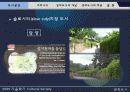 생태도시의 개념와 적용사례-한강르네상스 사례분석- 10페이지