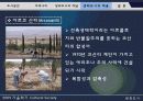 생태도시의 개념와 적용사례-한강르네상스 사례분석- 18페이지