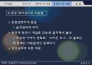 생태도시의 개념와 적용사례-한강르네상스 사례분석- 28페이지