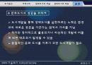 생태도시의 개념와 적용사례-한강르네상스 사례분석- 29페이지