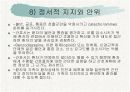 성인간호학 쇼크 대상자 간호 32페이지