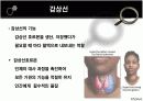체르노빌 원자력사고와 한국갑상선암증가의 상관관계 8페이지