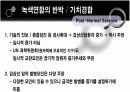 체르노빌 원자력사고와 한국갑상선암증가의 상관관계 17페이지