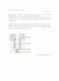 충수돌기 절제술 appendectomy 간호사례연구 28페이지