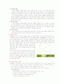 조직의 규모 5페이지