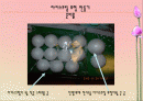[놀이지도]역할놀이지도-아이스크림가게놀이(배스킨라빈스) 2페이지
