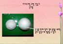[놀이지도]역할놀이지도-아이스크림가게놀이(배스킨라빈스) 3페이지