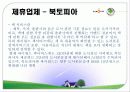 싸이월드 마케팅사례분석 20페이지