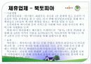 싸이월드 마케팅사례분석 21페이지