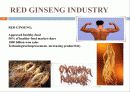 정관장 한삼인 마케팅사례비교분석 4페이지