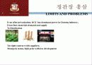 정관장 한삼인 마케팅사례비교분석 9페이지