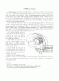 [논문] 기저핵(Basal Ganglia) 1페이지