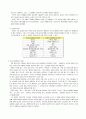 아리스토텔레스적 플롯 (오이디푸스 왕)  2페이지